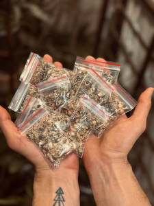 بذرباغچه ای