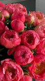 بذرگل آلاله