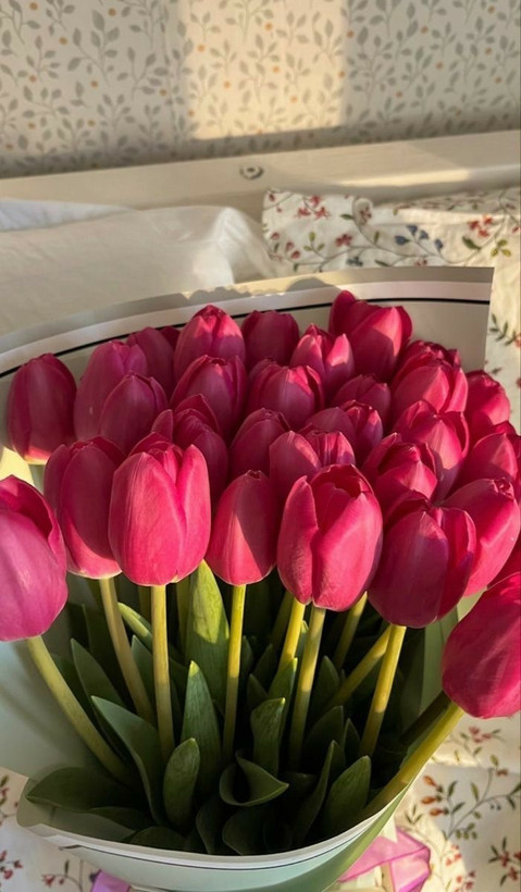 پیاز لاله هلندی